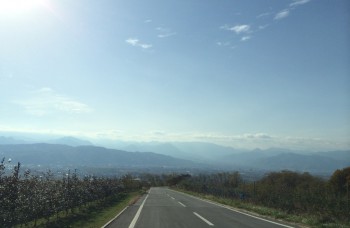 上田view