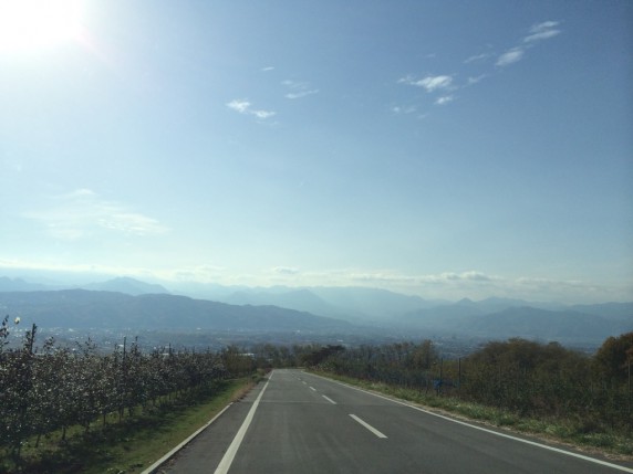 上田view