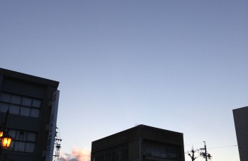 IMG_4448
